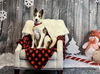 adoptable Dog in lees summit, MO named Cody (Conrad)