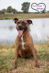 Darla - Photo 4