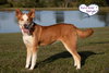 Winnie - Photo 2