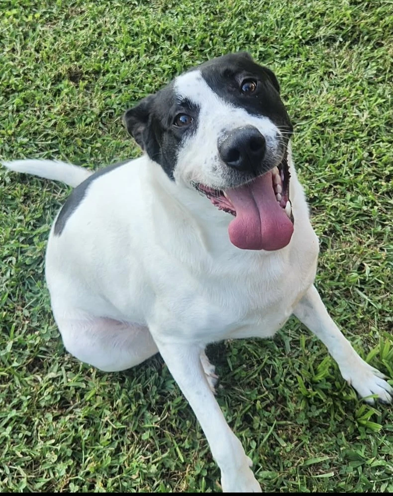 Maizy - Courtesy Listing