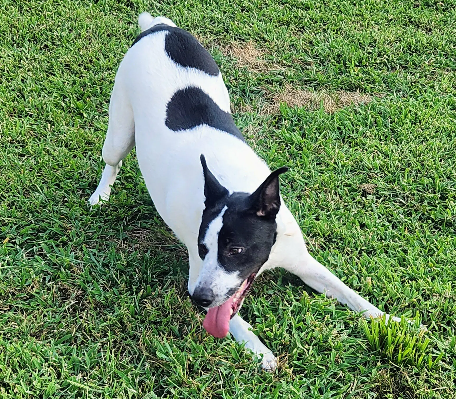 Maizy - Courtesy Listing image 2