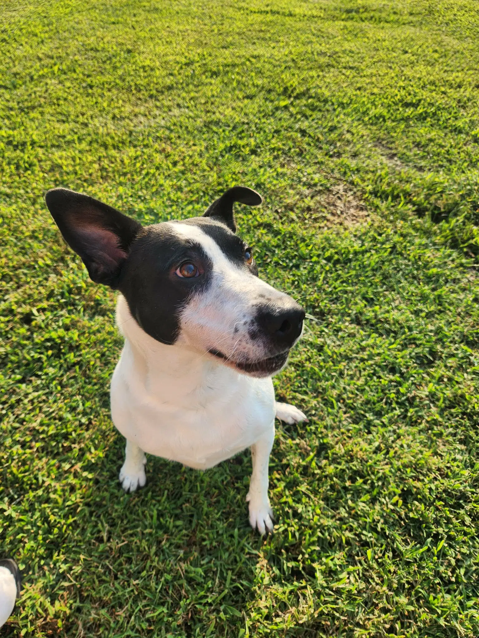 Maizy - Courtesy Listing image 4