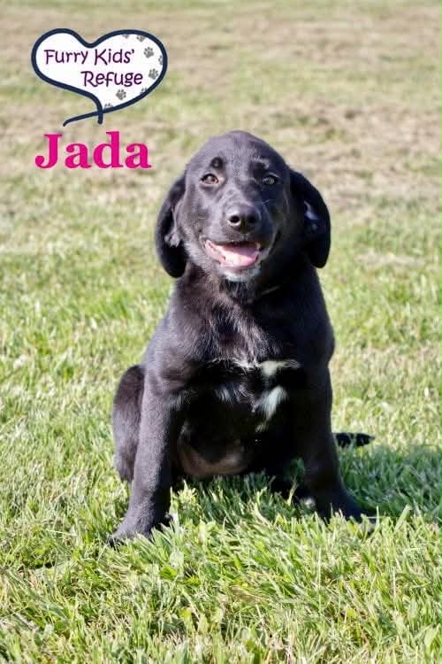 Jada