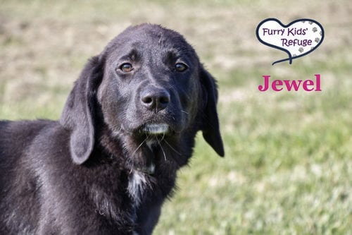 Jewel