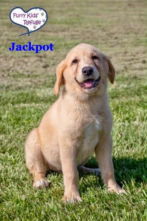 Jackpot photo 3