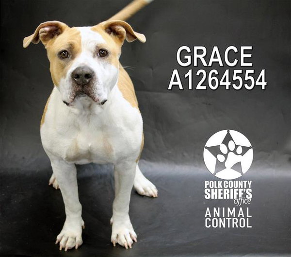 GRACE