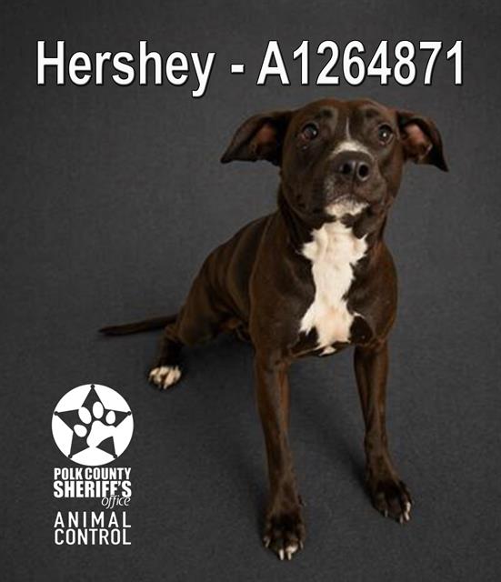 HERSHEY