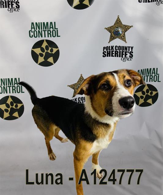 LUNA