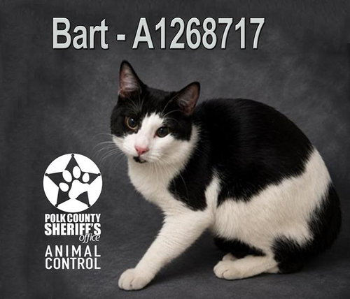BART