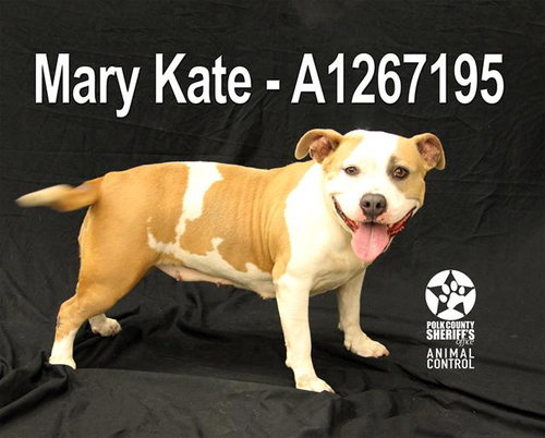 MARY KATE
