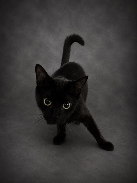 Sabrina