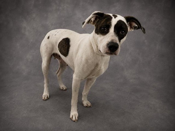 LITTLE GIRL