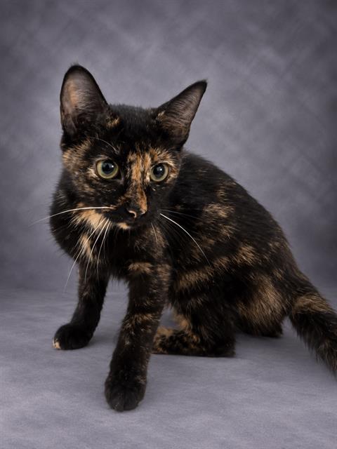 Kiki