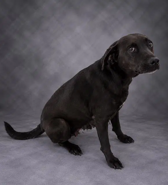 Tootsie image 1