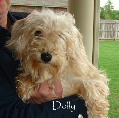 Dolly