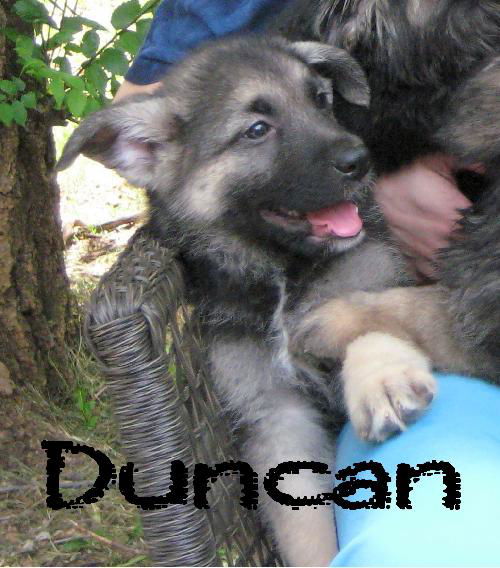 Duncan