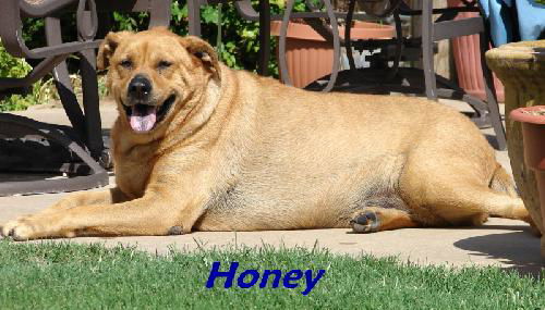 Honey