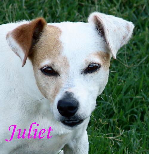 Juliet