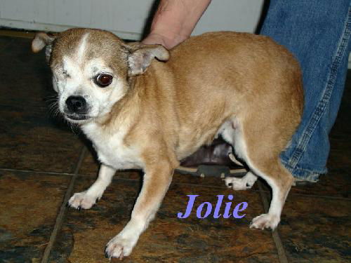 Jolie