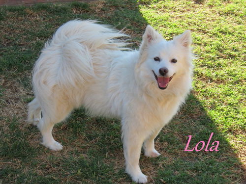 Lola