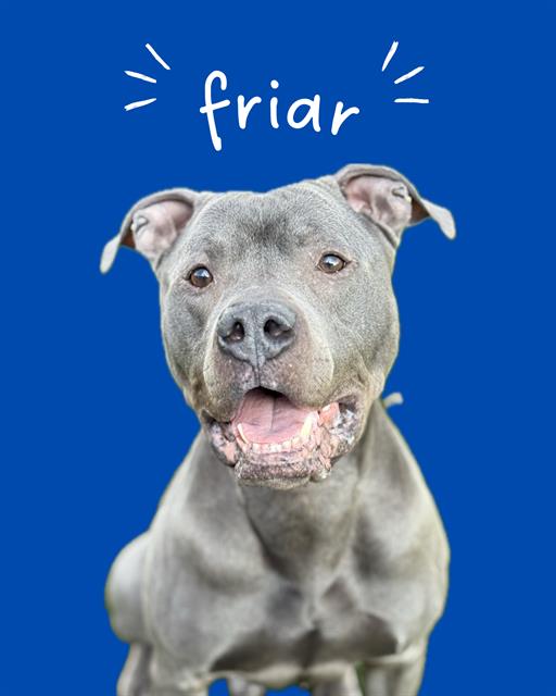 FRIAR