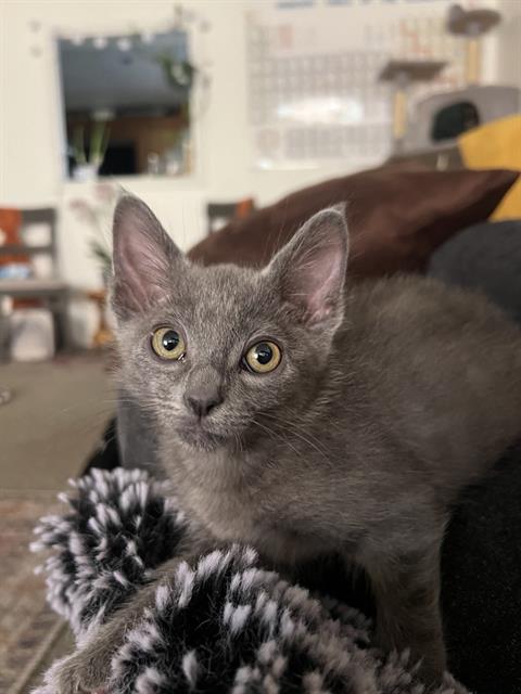 Milo