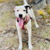 Nellie - Photo 4