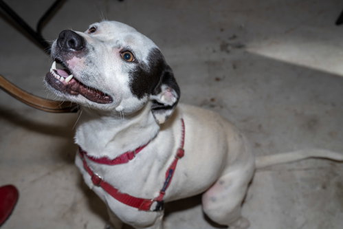 Photo 5 of Nellie