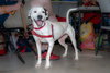 Nellie - Photo 3