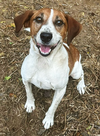 Farley - Photo 1