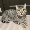 Luna - Photo 2