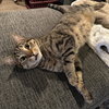 Luna - Photo 4
