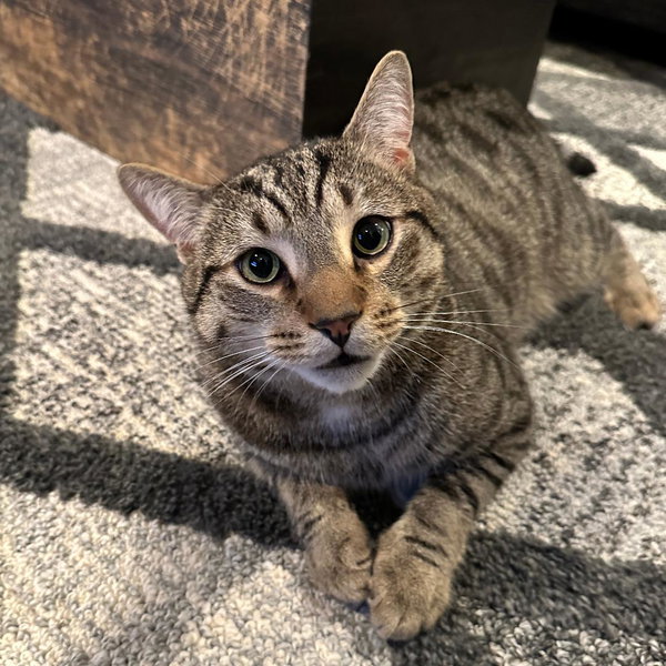 Luna