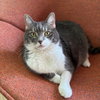 Celeste - Photo 2
