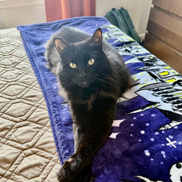 Nova