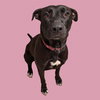 NALA - Photo 1