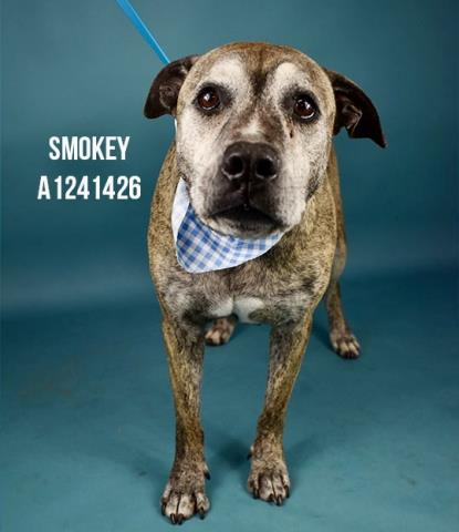 SMOKEY