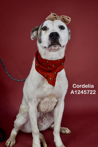 *CORDELIA