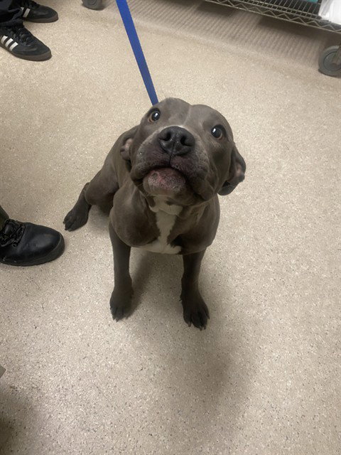*FIONA