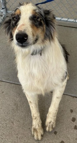 Sweetheart