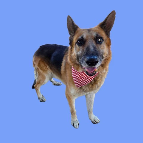 Tex