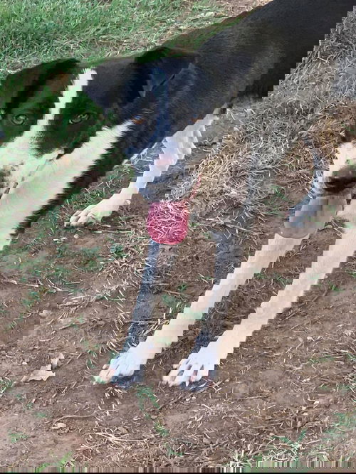 Peter