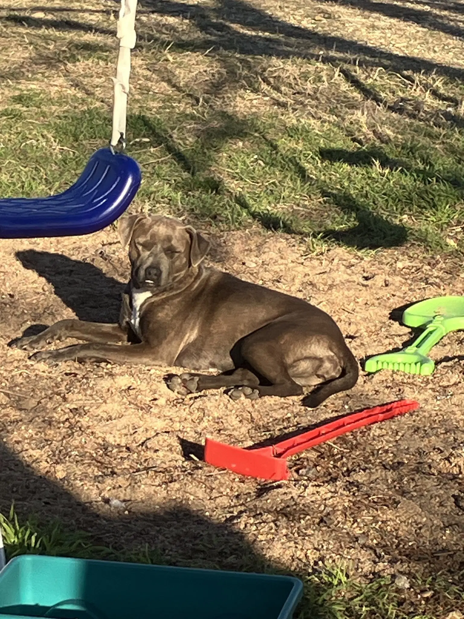 Maisy image 3