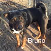 Bruno Mars