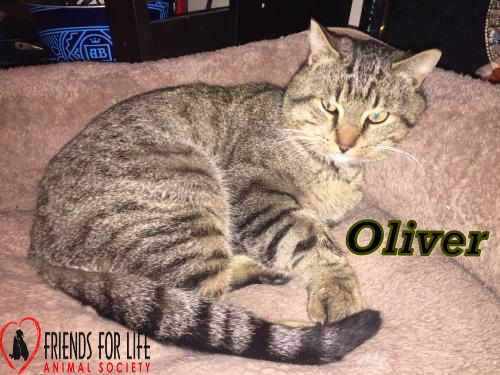 Oliver