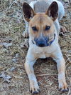Johnnie Walker aka Rex