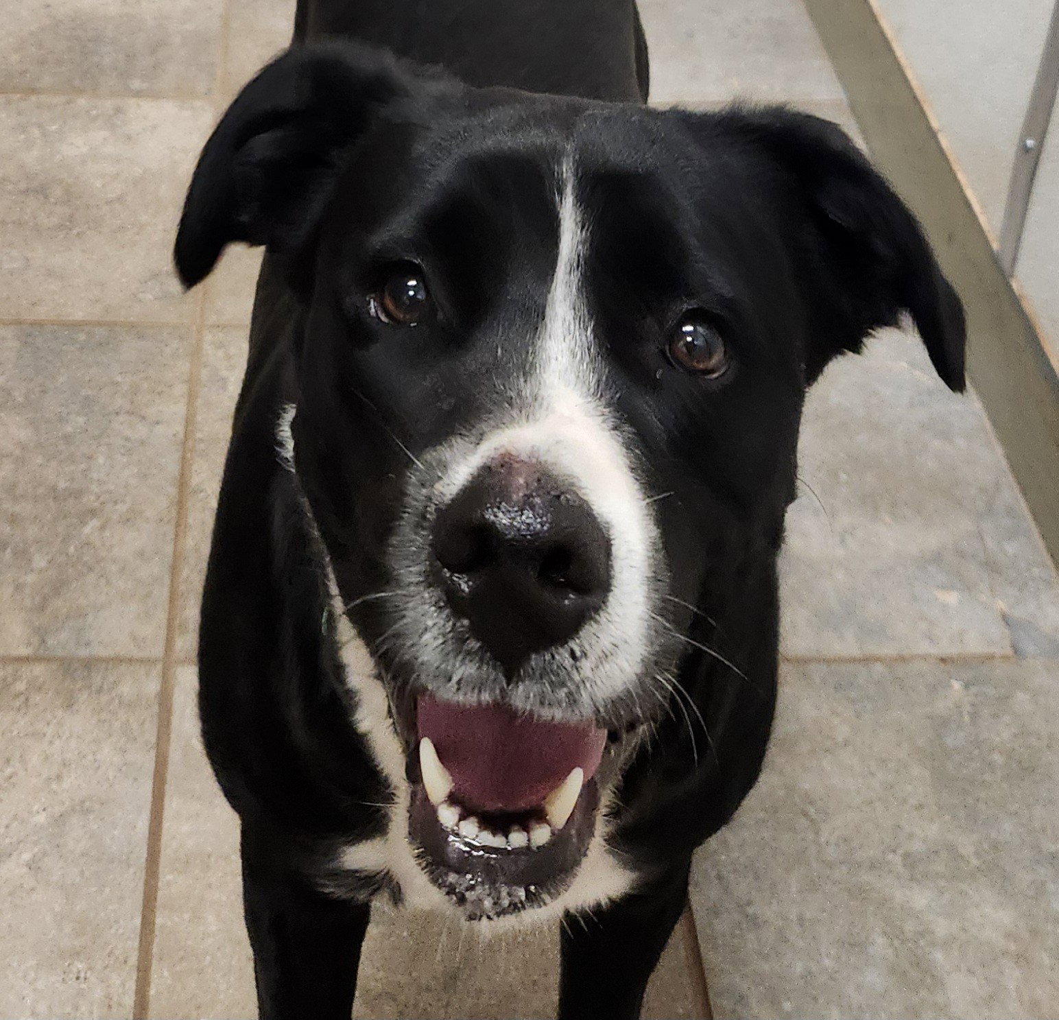 Sadie Image