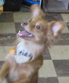 Buddy 2011