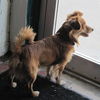 Buddy 2011
