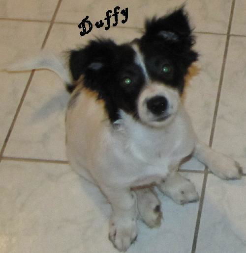 Duffy